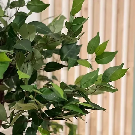 La Palmeraie -wifi Fibre- Centre -property Nm Dom wakacyjny