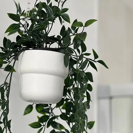 Dom wakacyjny La Palmeraie -wifi Fibre- Centre -property Nm Fontenay-le-Comte