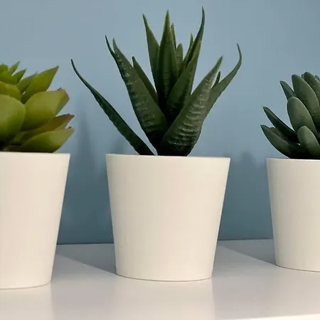 La Palmeraie -wifi Fibre- Centre -property Nm *