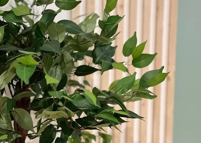 La Palmeraie -wifi Fibre- Centre -property Nm Prázdninový dům