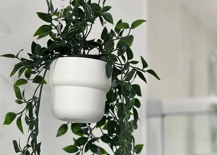 Prázdninový dům La Palmeraie -wifi Fibre- Centre -property Nm Fontenay-le-Comte