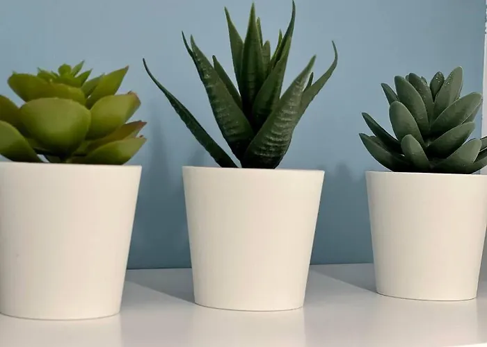 La Palmeraie -wifi Fibre- Centre -property Nm *