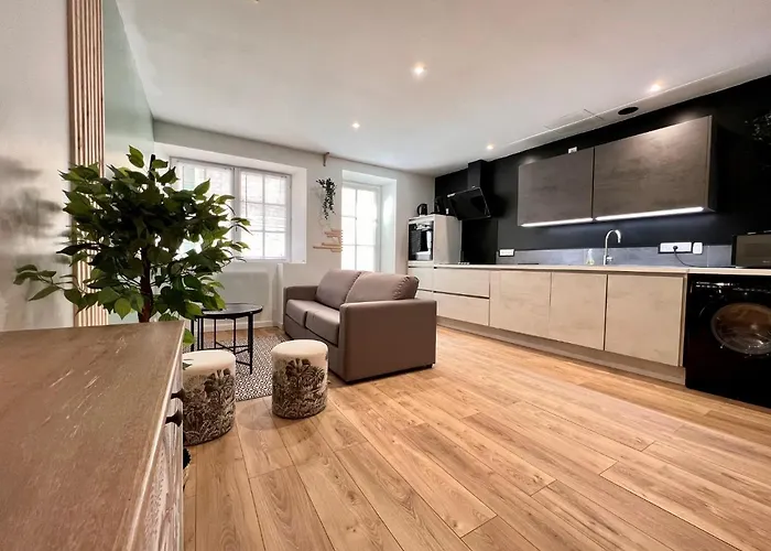 La Palmeraie -wifi Fibre- Centre -property Nm * Fontenay-le-Comte